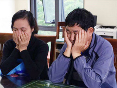 Ảnh bìa bài viết 520384