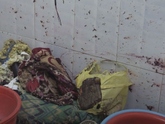 Ảnh bìa bài viết 520732