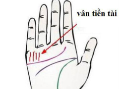 Ảnh bìa bài viết 520934