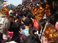 Ảnh bìa bài viết 520994