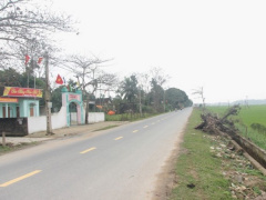 Ảnh bìa bài viết 521682