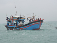 Ảnh bìa bài viết 522045