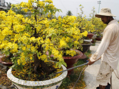 Ảnh bìa bài viết 521895
