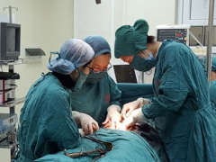 Ảnh bìa bài viết 522106