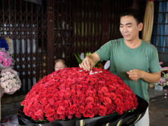 Ảnh bìa bài viết 522644