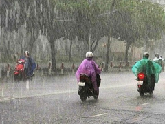 Ảnh bìa bài viết 522532
