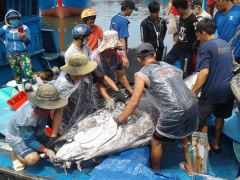 Ảnh bìa bài viết 522680