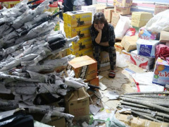Ảnh bìa bài viết 522811