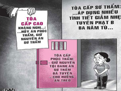 Ảnh bìa bài viết 522936