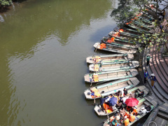 Ảnh bìa bài viết 523038