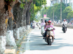 Ảnh bìa bài viết 523034