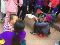 Ảnh bìa bài viết 523231