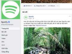 Ảnh bìa bài viết 523202