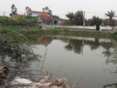 Ảnh bìa bài viết 523309