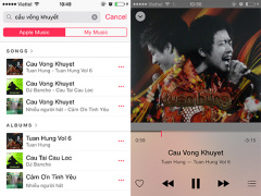 Ảnh bìa bài viết 523798