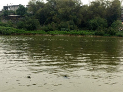 Ảnh bìa bài viết 523719