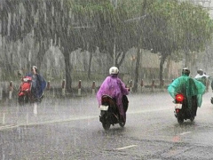 Ảnh bìa bài viết 523566