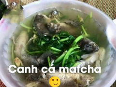 Ảnh bìa bài viết 523741
