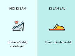 Ảnh bìa bài viết 524485