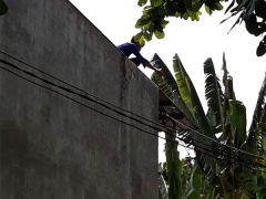 Ảnh bìa bài viết 524764
