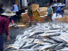 Ảnh bìa bài viết 524778