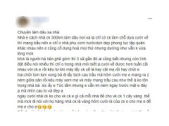 Ảnh bìa bài viết 524984