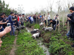 Ảnh bìa bài viết 525169