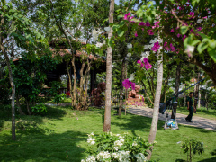 Ảnh bìa bài viết 525514