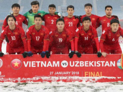 Ảnh bìa bài viết 525375