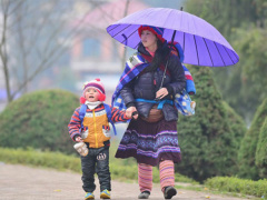 Ảnh bìa bài viết 525529