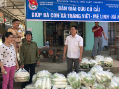Ảnh bìa bài viết 525664