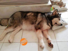 Ảnh bìa bài viết 525980