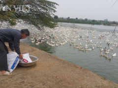 Ảnh bìa bài viết 526183