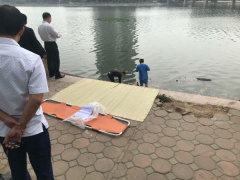 Ảnh bìa bài viết 526684