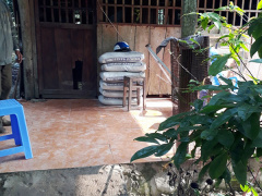 Ảnh bìa bài viết 526678