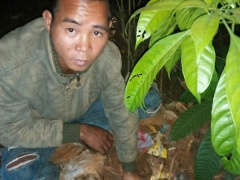 Ảnh bìa bài viết 526770