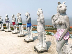 Ảnh bìa bài viết 526841