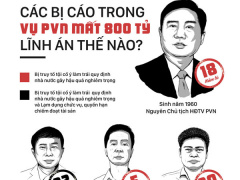 Ảnh bìa bài viết 527364