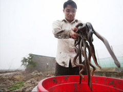 Ảnh bìa bài viết 527671