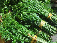 Ảnh bìa bài viết 527811
