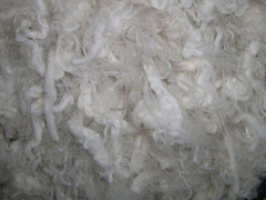 Ảnh bìa bài viết 527755