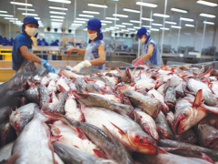 Ảnh bìa bài viết 527962