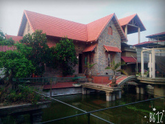 Ảnh bìa bài viết 528291