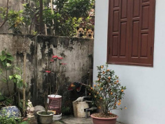 Ảnh bìa bài viết 528270