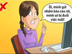 Ảnh bìa bài viết 528490