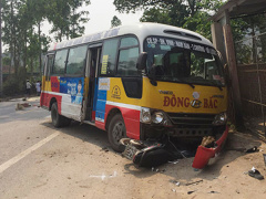 Ảnh bìa bài viết 528610