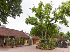 Ảnh bìa bài viết 528919