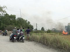 Ảnh bìa bài viết 528864