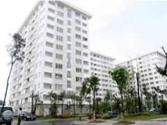 Ảnh bìa bài viết 528806