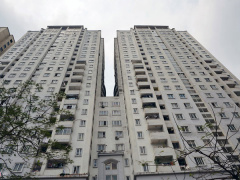 Ảnh bìa bài viết 528763